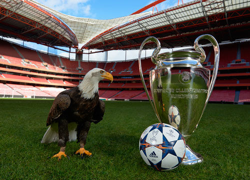 齐沃：老队员很好地接纳了年轻人；我们清楚弗拉泰西的重要性